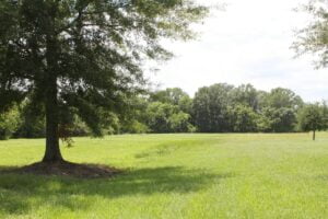 Property photo for land for sale in Lafayette County Louisiana