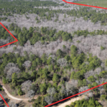 Property photo for land for sale in Cass County Texas