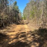 Property photo for land for sale in Nevada County Arkansas