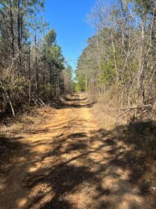 Property photo for land for sale in Nevada County Arkansas