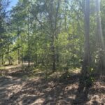 Property photo for land for sale in Montgomery County North Carolina