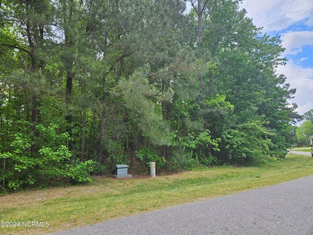 Property photo for land for sale in Perquimans County North Carolina