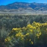 Property photo for land for sale in Washoe County Nevada