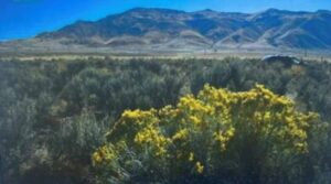 Property photo for land for sale in Washoe County Nevada