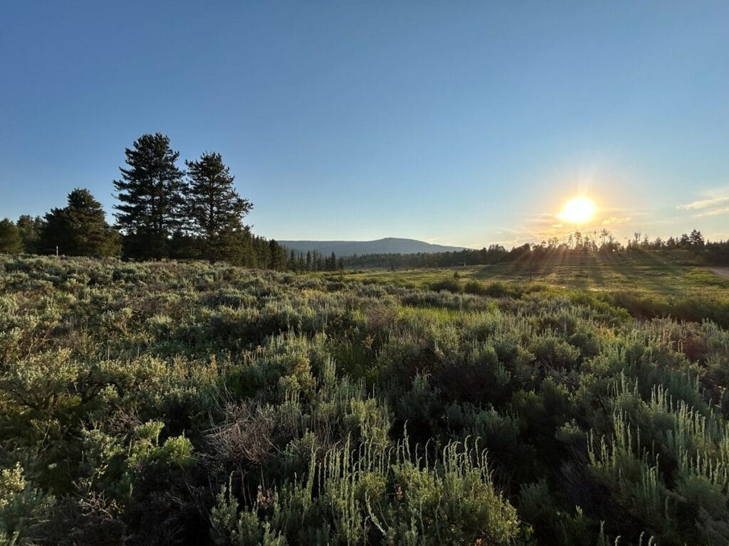 Property photo for land for sale in Routt County Colorado