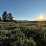 Property photo for land for sale in Routt County Colorado