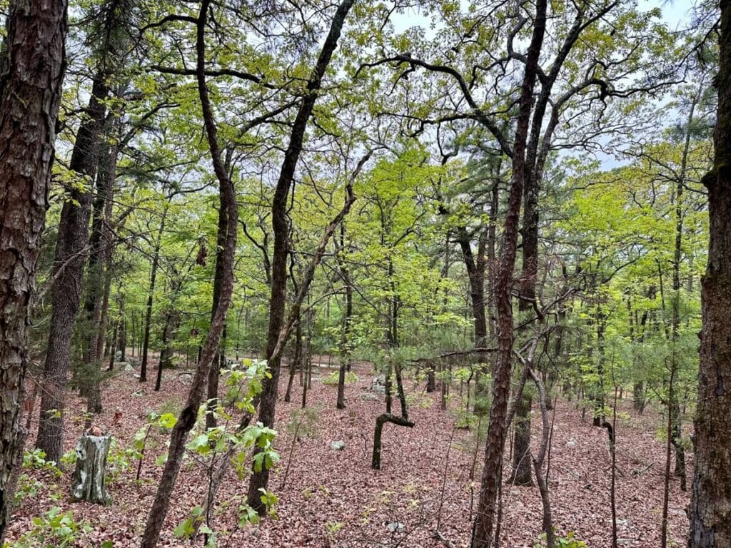 Property photo for land for sale in Pushmataha County Oklahoma