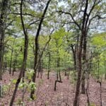 Property photo for land for sale in Pushmataha County Oklahoma