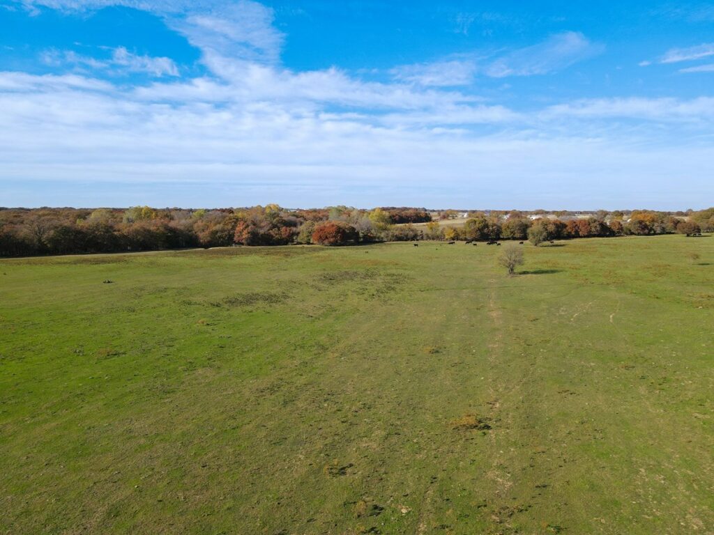 Property photo for land for sale in Wise County Texas