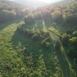 Property photo for land for sale in Wayne County Kentucky