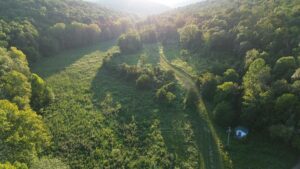 Property photo for land for sale in Wayne County Kentucky