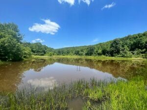 Property photo for land for sale in Newton County Arkansas