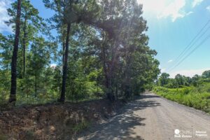 Property photo for land for sale in Polk County Arkansas