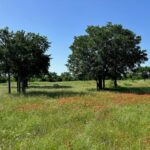 Property photo for land for sale in Brown County Texas