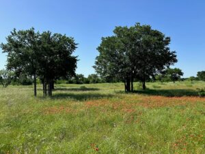 Property photo for land for sale in Brown County Texas