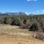 Property photo for land for sale in Rio Arriba County New Mexico