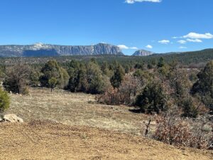 Property photo for land for sale in Rio Arriba County New Mexico