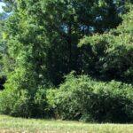 Property photo for land for sale in Butler County Alabama