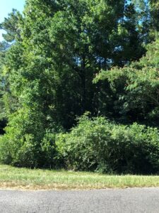 Property photo for land for sale in Butler County Alabama