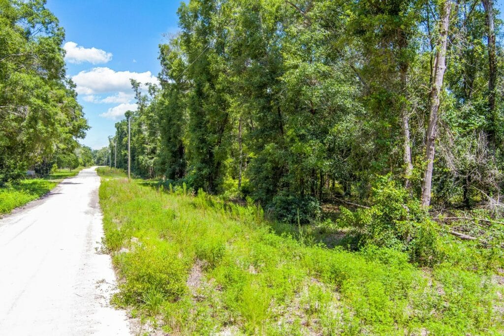 Property photo for land for sale in Suwannee County Florida