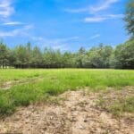 Property photo for land for sale in Smith County Texas