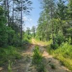 Property photo for land for sale in Laurens County South Carolina