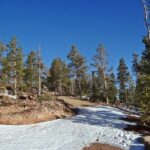 Property photo for land for sale in Larimer County Colorado