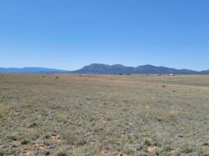 Property photo for land for sale in Santa Fe County New Mexico