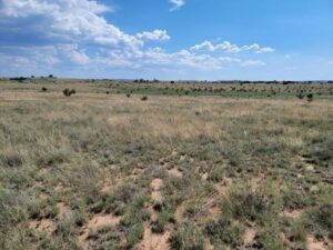 Property photo for land for sale in Santa Fe County New Mexico