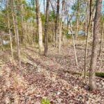 Property photo for land for sale in Sharp County Arkansas