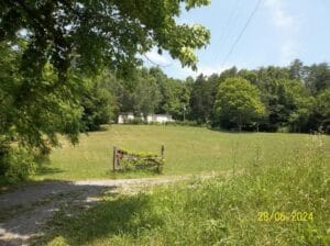 Property photo for land for sale in Grainger County Tennessee