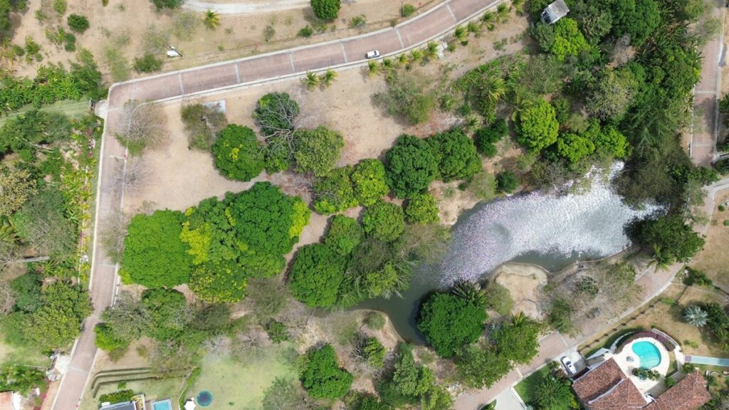 Property photo for land for sale in  County Panama