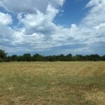 Property photo for land for sale in Lamar County Texas