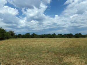 Property photo for land for sale in Lamar County Texas