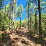 Property photo for land for sale in Le Flore County Oklahoma