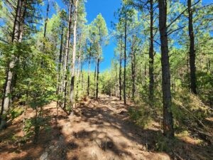 Property photo for land for sale in Le Flore County Oklahoma