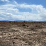 Property photo for land for sale in Torrance County New Mexico