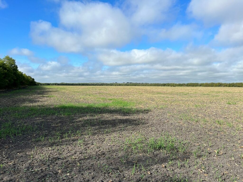 Property photo for land for sale in Milam County Texas