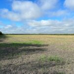 Property photo for land for sale in Milam County Texas