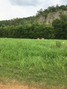 Property photo for land for sale in Izard County Arkansas