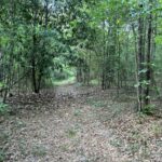 Property photo for land for sale in Crenshaw County Alabama