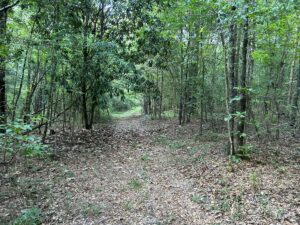 Property photo for land for sale in Crenshaw County Alabama