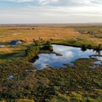 Property photo for land for sale in Phillips County Montana