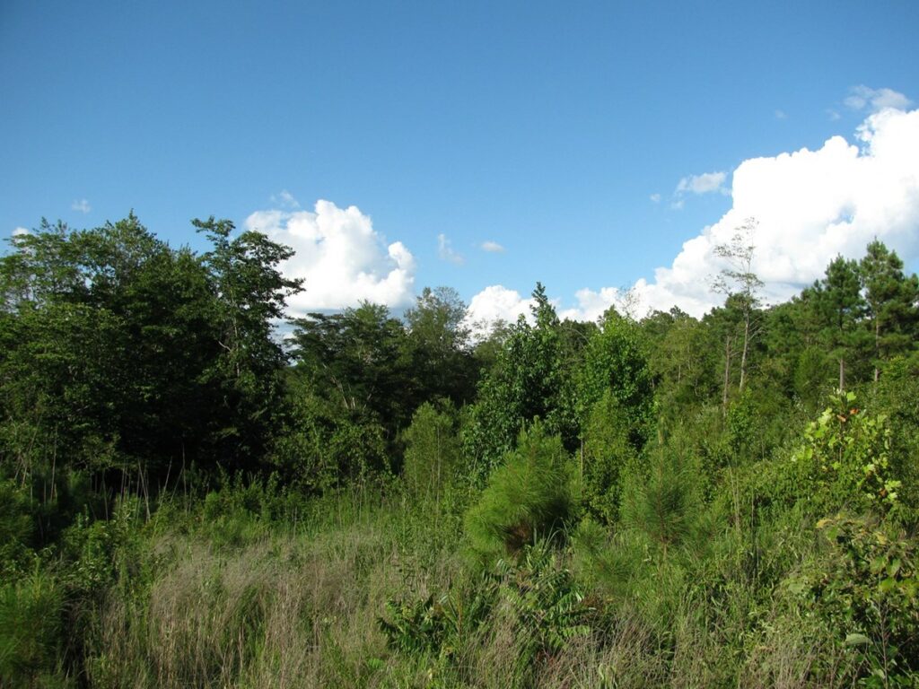 Property photo for land for sale in McNairy County Tennessee