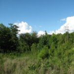 Property photo for land for sale in McNairy County Tennessee