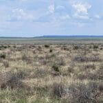 Property photo for land for sale in Torrance County New Mexico