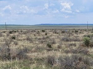 Property photo for land for sale in Torrance County New Mexico