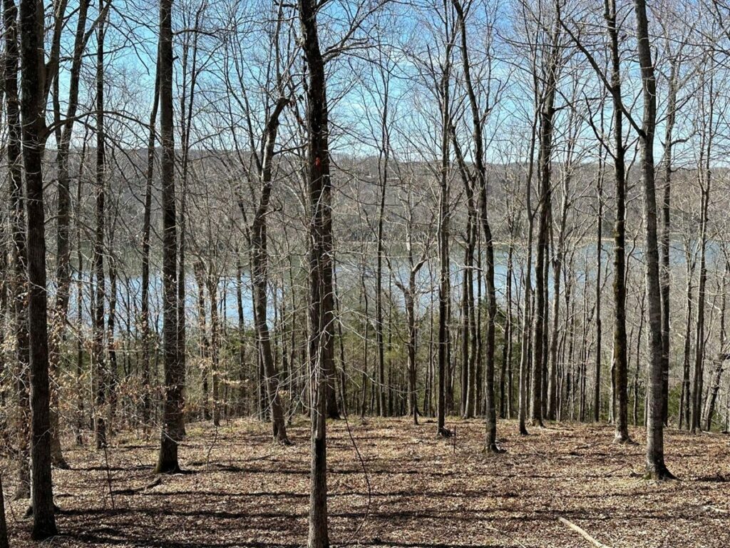 Property photo for land for sale in Clinton County Kentucky