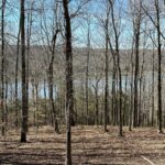 Property photo for land for sale in Clinton County Kentucky