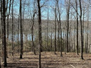 Property photo for land for sale in Clinton County Kentucky